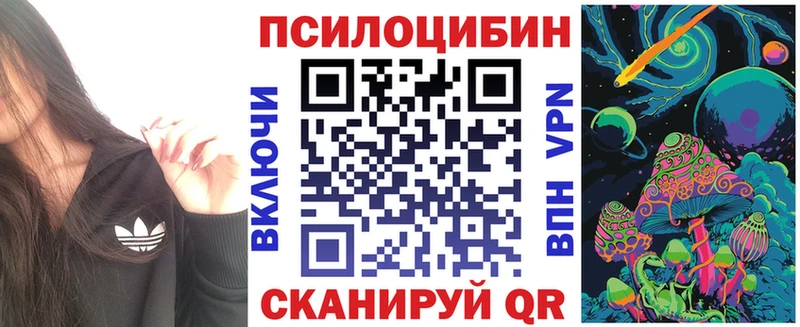 Галлюциногенные грибы Psilocybine cubensis Слободской