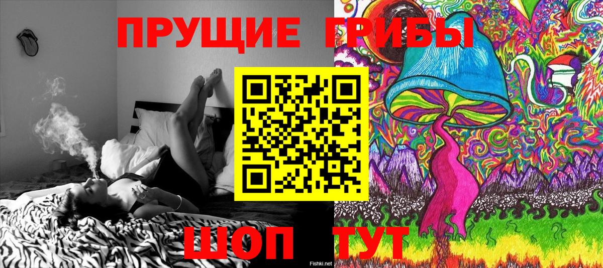 Галлюциногенные грибы Magic Shrooms  Вход с VPN  Слободской  Псилоцибиновые грибы Cubensis 
